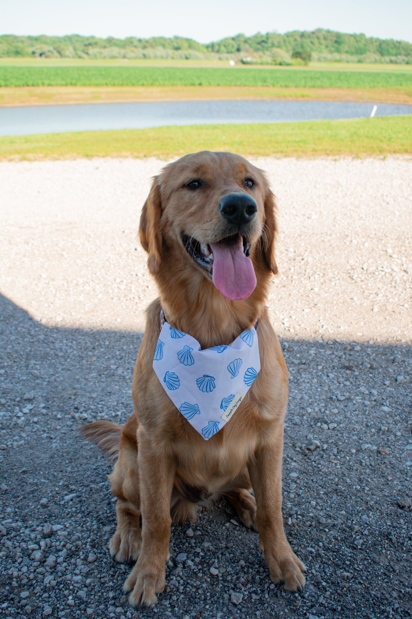 Blue Harbor Bandana