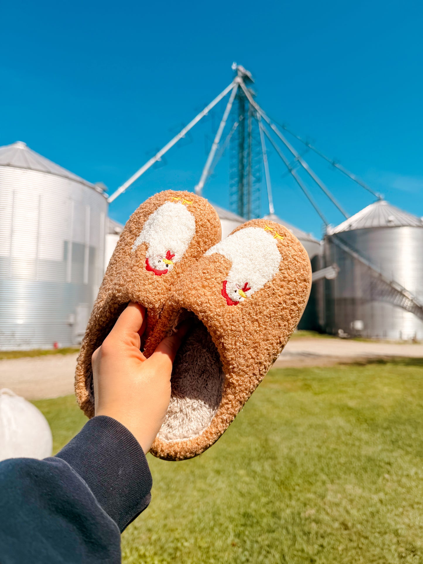 Chicken Slippers