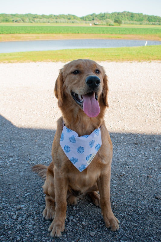 Blue Harbor Bandana