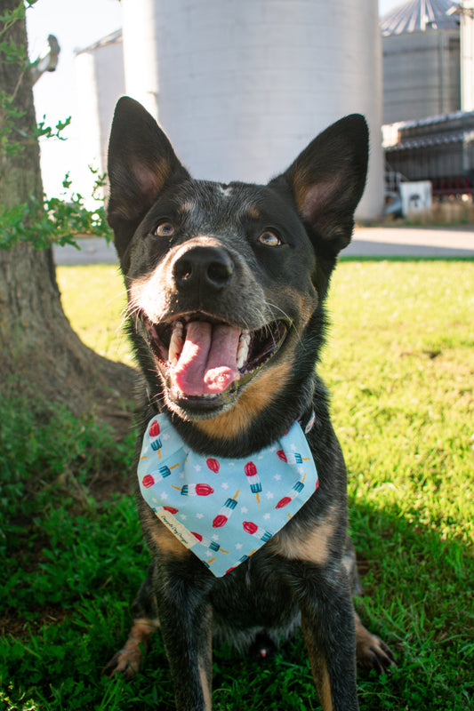 Star Spangled Bandana